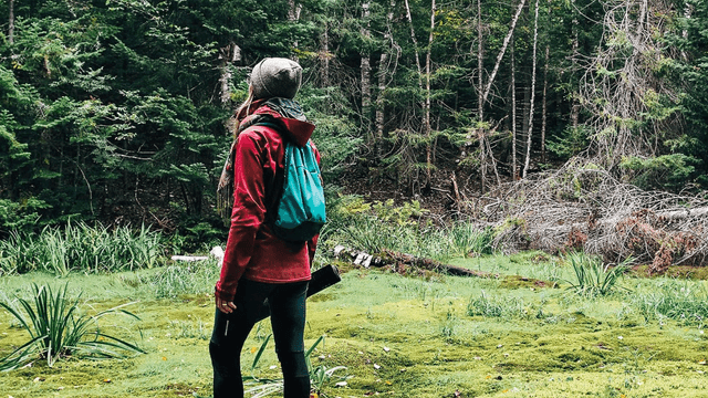 Balade en bâteau sur la Seine (1h30)